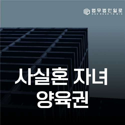 사실혼 자녀 양육권, 인지와 친권·양육자 지정을 나누는 기준