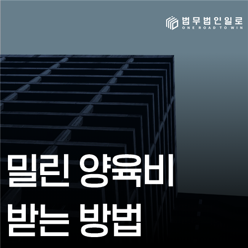 밀린 양육비 받는 방법, 판결 확인부터 집행까지의 순서