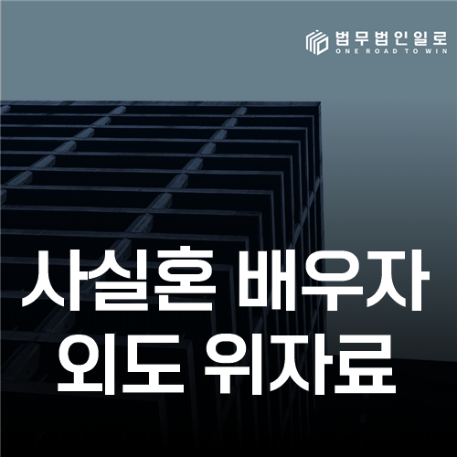 사실혼 배우자 외도 위자료, 혼인 실체와 부정행위를 입증하는 기준
